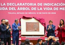Gobernadora Delfina Gómez celebra Obtención de la Declaratoria de Indicación Geográfica Protegida del “Árbol de la Vida” de Metepec