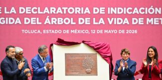 Gobernadora Delfina Gómez celebra Obtención de la Declaratoria de Indicación Geográfica Protegida del “Árbol de la Vida” de Metepec
