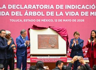 Gobernadora Delfina Gómez celebra Obtención de la Declaratoria de Indicación Geográfica Protegida del “Árbol de la Vida” de Metepec