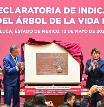 Gobernadora Delfina Gómez celebra Obtención de la Declaratoria de Indicación Geográfica Protegida del “Árbol de la Vida” de Metepec