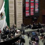 Maullidos Urbanos / Reforma incompleta