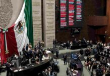 Maullidos Urbanos / Reforma incompleta
