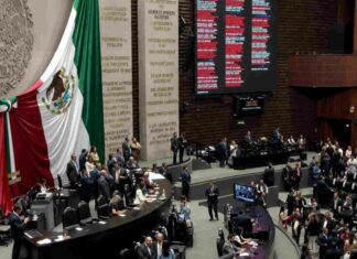 Maullidos Urbanos / Reforma incompleta