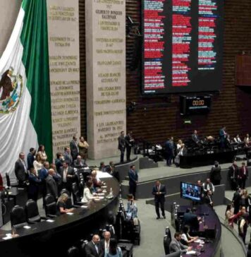Maullidos Urbanos / Reforma incompleta