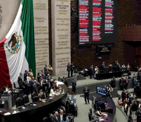 Maullidos Urbanos / Reforma incompleta