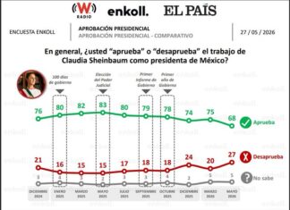 Cae popularidad de Sheimbaum / Maullidos Urbanos