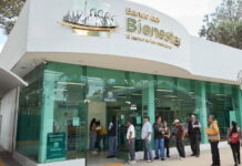 Fallas en Banco del Bienestar / Maullidos Urbanos