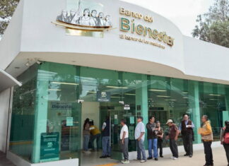 Fallas en Banco del Bienestar / Maullidos Urbanos