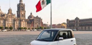Cómo anda el Interés por el Olinia / Maullidos Urbanos