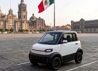Cómo anda el Interés por el Olinia / Maullidos Urbanos