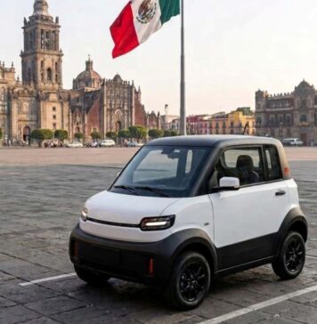 Cómo anda el Interés por el Olinia / Maullidos Urbanos