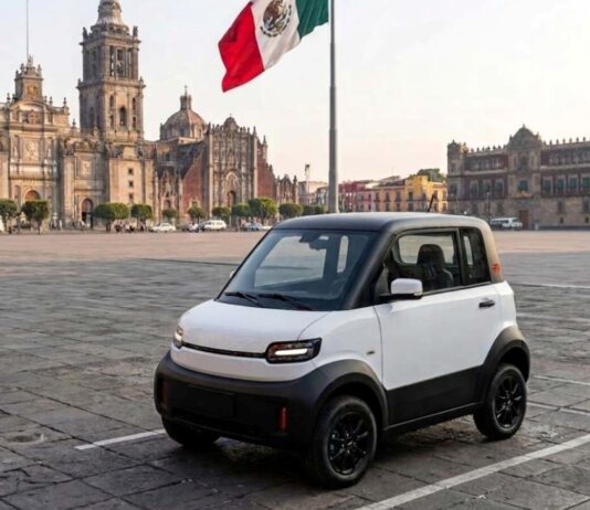 Cómo anda el Interés por el Olinia / Maullidos Urbanos