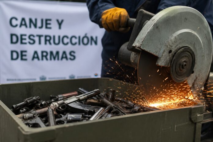 Además de la destrucción de armas de fuego, deben desarrollarse estrategias de desarrollo social, dijo el catedrático universitario