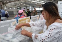 Las Mujeres y las elecciones / Alebrijes en Cuadratines