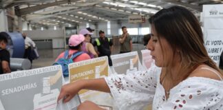 Las Mujeres y las elecciones / Alebrijes en Cuadratines