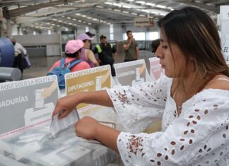 Las Mujeres y las elecciones / Alebrijes en Cuadratines