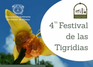 Invita la UAEMéx al Festival de las Tigridias