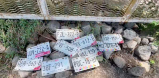 Maullidos Urbanos / Pérdida de placas de autos