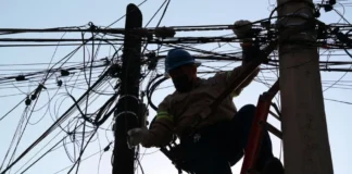 Iniciativa positiva / Maullidos Urbanos