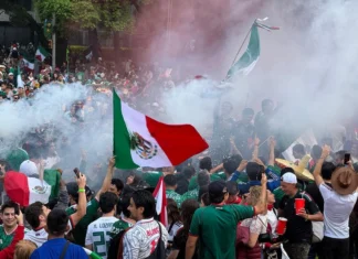 Decesos en Paseo de la Reforma / Maullidos Urbanos