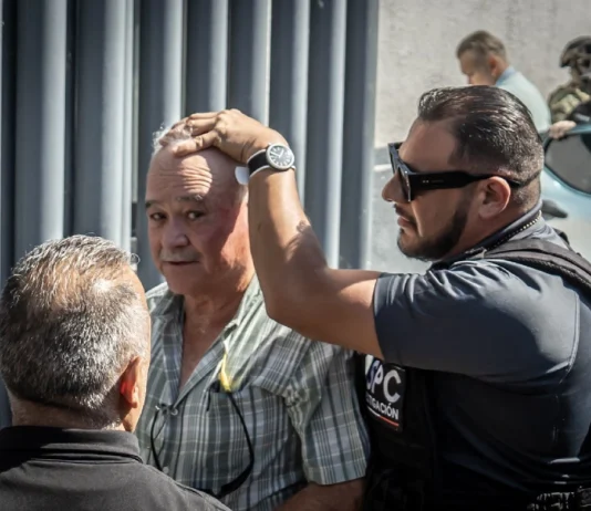 Justicia selectiva de la T4 / maullidos urbanos