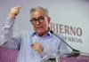 Casos Rocha y Ruffo (1) / Maulos Urbanos