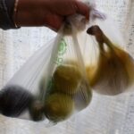 Promueve especialista de la UAEMéx el uso responsable de los plásticos para cuidar el medio ambiente