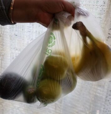 Promueve especialista de la UAEMéx el uso responsable de los plásticos para cuidar el medio ambiente