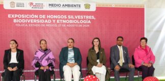 La UAEMéx y Gobierno del Estado de México fortalecen la divulgación científica con exposiciones sobre hongos y biodiversidad