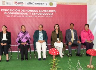 La UAEMéx y Gobierno del Estado de México fortalecen la divulgación científica con exposiciones sobre hongos y biodiversidad