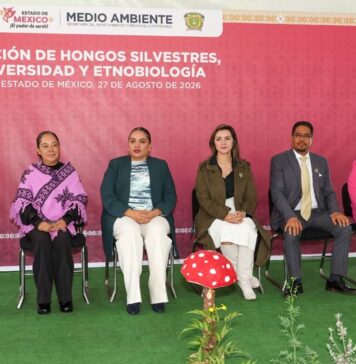 La UAEMéx y Gobierno del Estado de México fortalecen la divulgación científica con exposiciones sobre hongos y biodiversidad