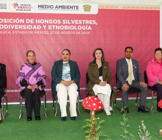La UAEMéx y Gobierno del Estado de México fortalecen la divulgación científica con exposiciones sobre hongos y biodiversidad