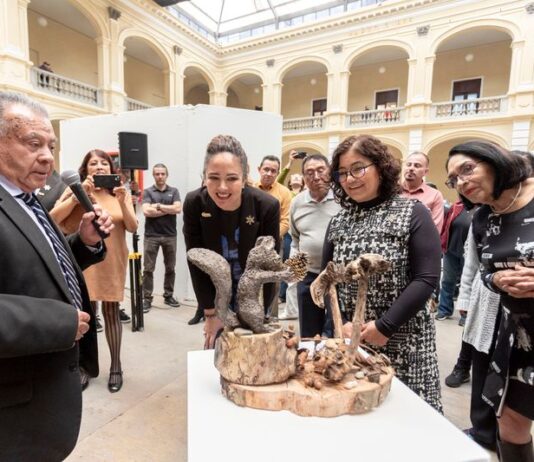 El arte universitario se encuentra con la sociedad mexiquense en la Muestra Plástica Anual 2026