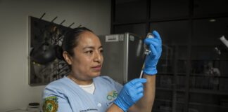 Vocación que transforma vidas: María del Carmen Dionisio Shingu hace de la enfermería una misión en la UAEMéx