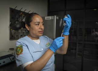 Vocación que transforma vidas: María del Carmen Dionisio Shingu hace de la enfermería una misión en la UAEMéx