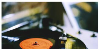 Nostalgia vigente: el Disco de Vinilo / Maullidos Urbanos