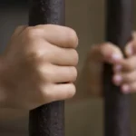 Exgobernadores en prisión / Maullidos Urbanos