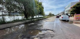 Los Baches, problema nacional / Maulidos Urbanos