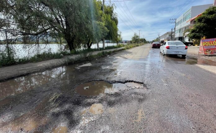 Maullidos 5 agosto 26 Baches, mal nacional