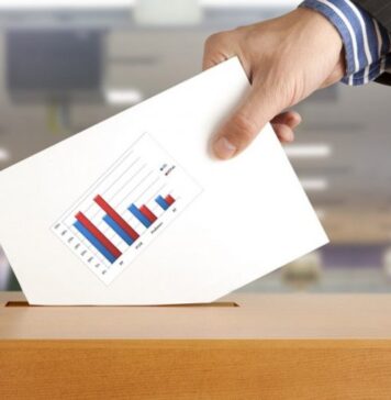 Inician procesos electorales / Alebrijes en Cuadratines