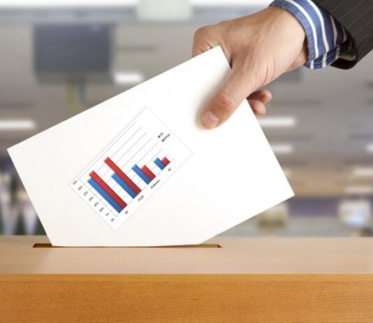 Inician procesos electorales / Alebrijes en Cuadratines