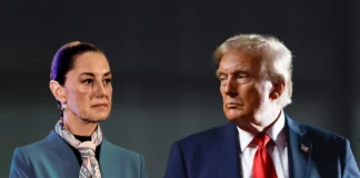 Respuestas presidenciales / Maullidos Urbanos