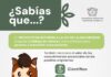 Conoce el Proyecto de Reforma a la Ley de la UAEMéx