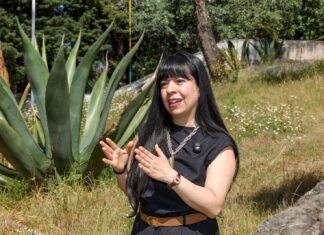 Conocimiento UAEMéx llega a la Copa Mundo Agave 2026