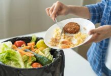 Maullidos Urbanos / Desperdicio de comida