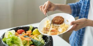 Maullidos Urbanos / Desperdicio de comida