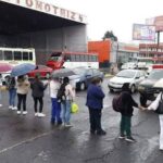 De los diferentes tipos de manifestantes / Maullidos Urbanos