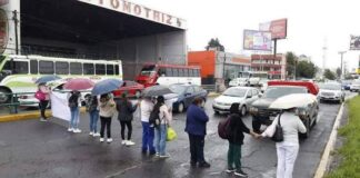 De los diferentes tipos de manifestantes / Maullidos Urbanos