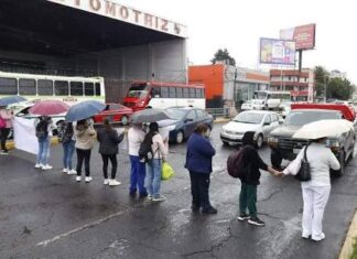 De los diferentes tipos de manifestantes / Maullidos Urbanos