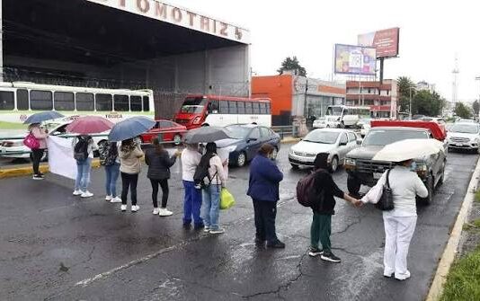 De los diferentes tipos de manifestantes / Maullidos Urbanos